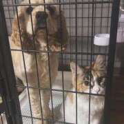 ヒメ日記 2025/07/28 18:44 投稿 ゆん Love Life(ラブライフ) 池袋店