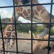 ヒメ日記 2025/08/19 18:30 投稿 ゆん Love Life(ラブライフ) 池袋店