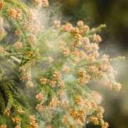 ヒメ日記 2025/02/26 17:03 投稿 ちか スイカ