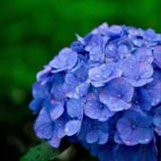 ヒメ日記 2025/06/10 15:56 投稿 ちか スイカ