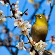 ヒメ日記 2026/03/21 16:11 投稿 ちか スイカ