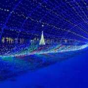 ヒメ日記 2025/12/25 18:25 投稿 森野みずき 全裸の極みorドッキング痴漢電車