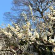 ヒメ日記 2025/03/05 10:26 投稿 さおり 熟女の風俗最終章 蒲田店