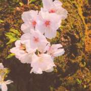 ヒメ日記 2025/03/30 01:18 投稿 あやめ 佐賀人妻デリヘル 「デリ夫人」