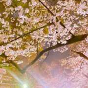 ヒメ日記 2025/04/02 15:39 投稿 あやめ 佐賀人妻デリヘル 「デリ夫人」