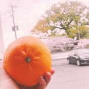 あやめ 今日会えなかったお兄さん❤️ 佐賀人妻デリヘル 「デリ夫人」