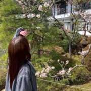 ヒメ日記 2025/04/23 17:17 投稿 みみ No.1～ナンバーワン～