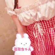 ヒメ日記 2025/07/16 02:28 投稿 みみ No.1～ナンバーワン～