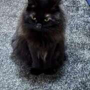 ヒメ日記 2025/03/13 21:49 投稿 えつこ 熟女の風俗最終章 所沢店