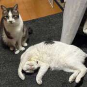 ヒメ日記 2025/05/03 17:53 投稿 えつこ 熟女の風俗最終章 所沢店