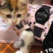 ヒメ日記 2025/05/31 10:06 投稿 えつこ 熟女の風俗最終章 所沢店