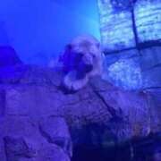 ヒメ日記 2025/08/21 19:58 投稿 まりあ ヌーベル・マリエ