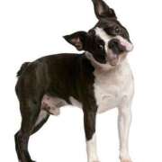 ヒメ日記 2025/06/27 14:38 投稿 あいり ナイスレディ