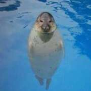 ヒメ日記 2025/07/12 06:04 投稿 あいり ナイスレディ