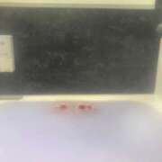 ヒメ日記 2025/11/06 11:40 投稿 あいり ナイスレディ