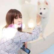 ヒメ日記 2024/12/11 16:22 投稿 なぎさ One More奥様　八王子店