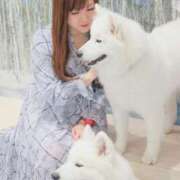 ヒメ日記 2024/12/12 15:03 投稿 なぎさ One More奥様　八王子店