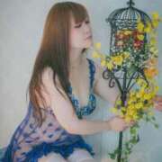 ヒメ日記 2025/04/20 09:49 投稿 なぎさ One More奥様　八王子店