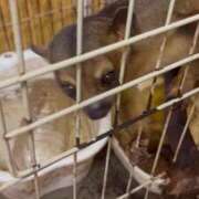 ヒメ日記 2025/03/23 11:06 投稿 しゅり 熟女の風俗最終章 所沢店