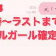 ヒメ日記 2024/02/09 14:16 投稿 うさぎ ビギナーズ和歌山