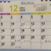 ヒメ日記 2024/12/13 09:02 投稿 うさぎ ビギナーズ和歌山