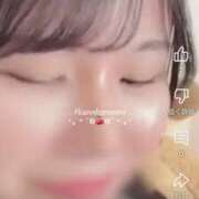 ヒメ日記 2025/04/15 19:32 投稿 うさぎ ビギナーズ和歌山