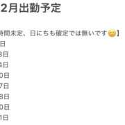 ヒメ日記 2025/11/06 11:44 投稿 うさぎ ビギナーズ和歌山