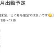 ヒメ日記 2025/11/16 11:14 投稿 うさぎ ビギナーズ和歌山