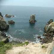 ヒメ日記 2025/03/29 10:38 投稿 園部 おふくろ