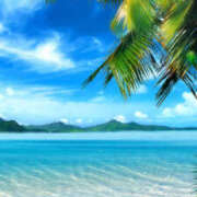 ヒメ日記 2025/07/21 10:53 投稿 園部 おふくろ