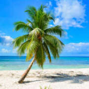 園部 おはようございます☺️ おふくろ