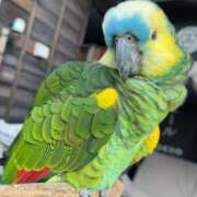 ヒメ日記 2024/12/16 16:52 投稿 るい スイカ