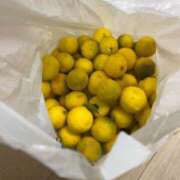 ヒメ日記 2024/12/22 18:51 投稿 るい スイカ