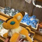 ヒメ日記 2024/12/29 17:28 投稿 るい スイカ