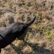 ヒメ日記 2025/01/04 14:39 投稿 るい スイカ