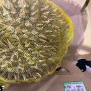 ヒメ日記 2025/03/02 17:34 投稿 るい スイカ