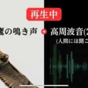 ヒメ日記 2025/03/07 14:37 投稿 るい スイカ