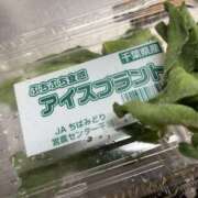 ヒメ日記 2025/03/17 16:46 投稿 るい スイカ