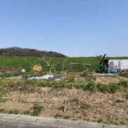 ヒメ日記 2025/03/24 13:42 投稿 るい スイカ