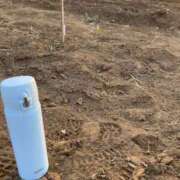 ヒメ日記 2025/03/24 17:50 投稿 るい スイカ