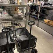 ヒメ日記 2025/03/29 18:56 投稿 るい スイカ