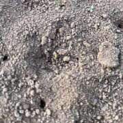 ヒメ日記 2025/03/29 20:00 投稿 るい スイカ