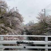 ヒメ日記 2025/04/11 20:19 投稿 るい スイカ