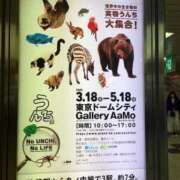 ヒメ日記 2025/04/12 17:10 投稿 るい スイカ