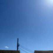 ヒメ日記 2025/04/16 13:39 投稿 るい スイカ