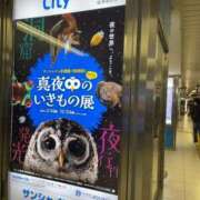 ヒメ日記 2025/04/20 22:24 投稿 るい スイカ