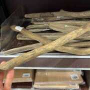 ヒメ日記 2025/04/24 21:27 投稿 るい スイカ