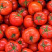 ヒメ日記 2025/04/27 22:19 投稿 るい スイカ