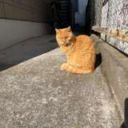 ヒメ日記 2025/04/27 22:59 投稿 るい スイカ