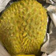 ヒメ日記 2025/05/24 21:05 投稿 るい スイカ